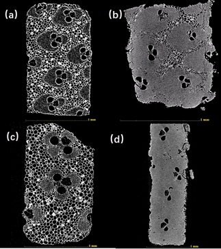 1627627192176101.png 1627627192176101.png