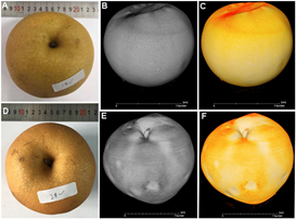 1631948629993885.png image.png