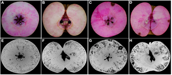 1631948658744638.png image.png