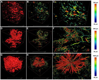 1631948700369221.png image.png