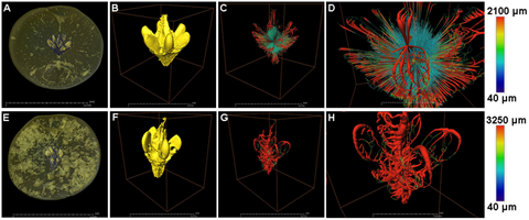 1631948730216139.png image.png