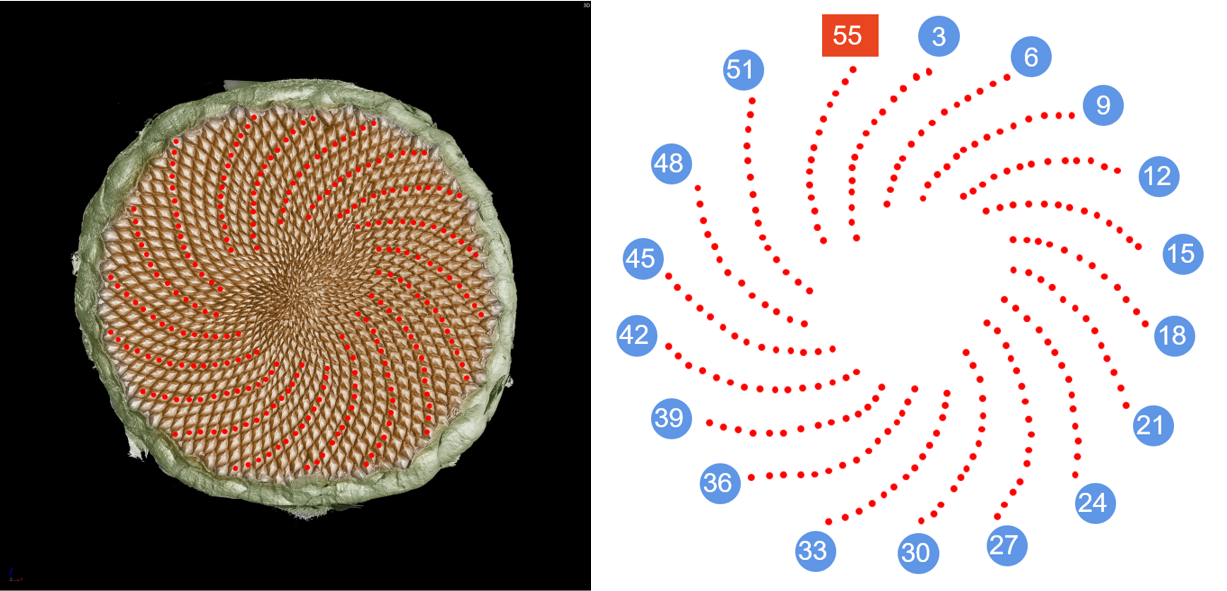 1637804160118374.png 1637804160118374.png