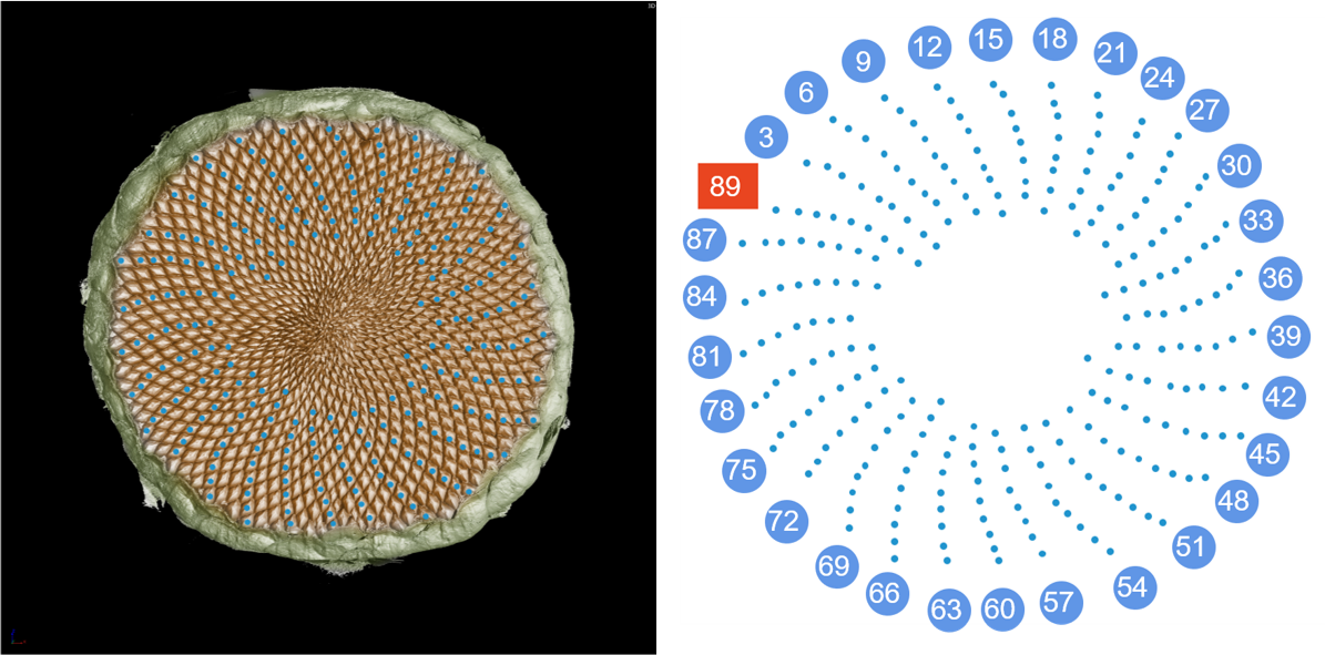 1637804247166093.png 1637804247166093.png