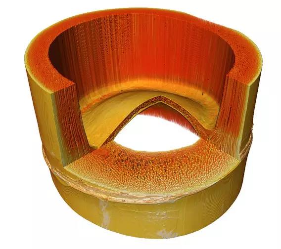 1596529272199366.jpg 植樹節(jié)7.jpg