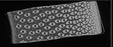 1596529332959608.jpg 植樹節(jié)8.jpg