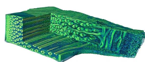 1596529356140214.jpg 植樹節(jié)9.jpg